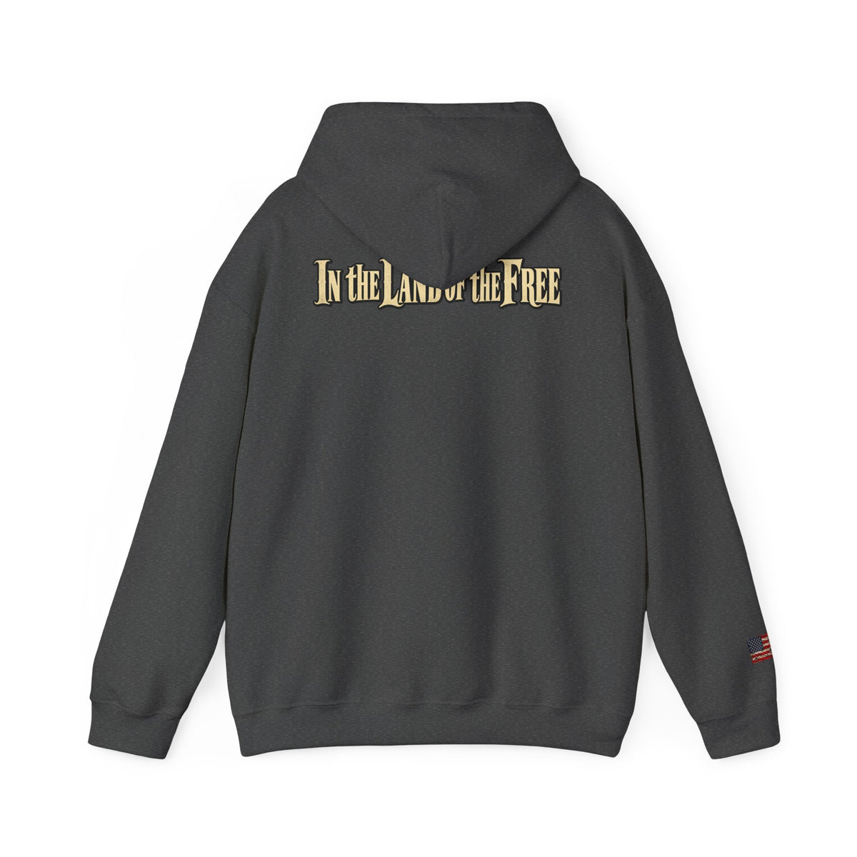 In the Land of the Free Patriotic Eagle Hoodie