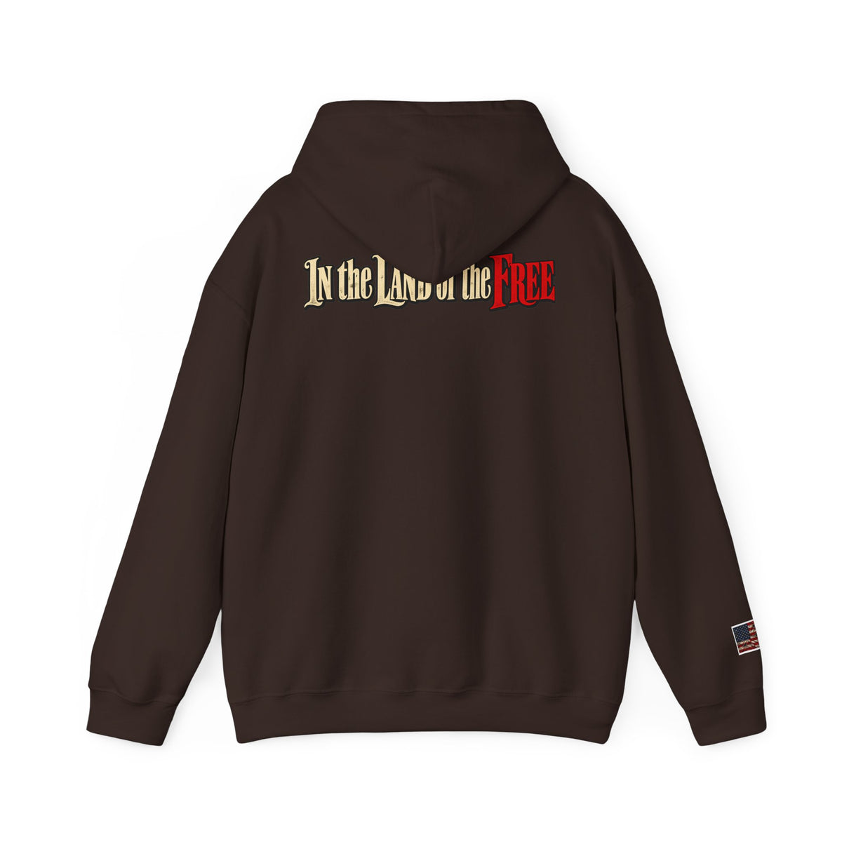 Liberty Statue Hoodie — "Dream as Always Beautiful / She Can't Hurt Me" Patriotic Pullover
