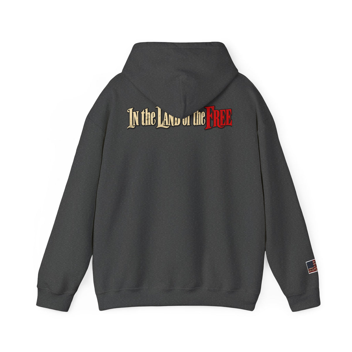Liberty Statue Hoodie — "Dream as Always Beautiful / She Can't Hurt Me" Patriotic Pullover