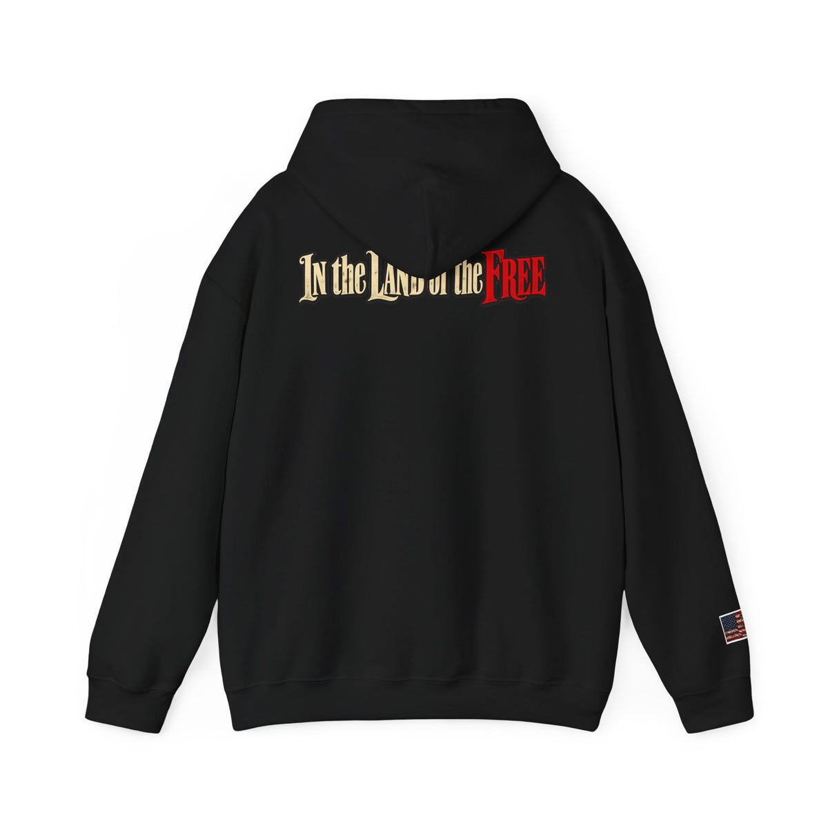 Liberty Statue Hoodie — "Dream as Always Beautiful / She Can't Hurt Me" Patriotic Pullover