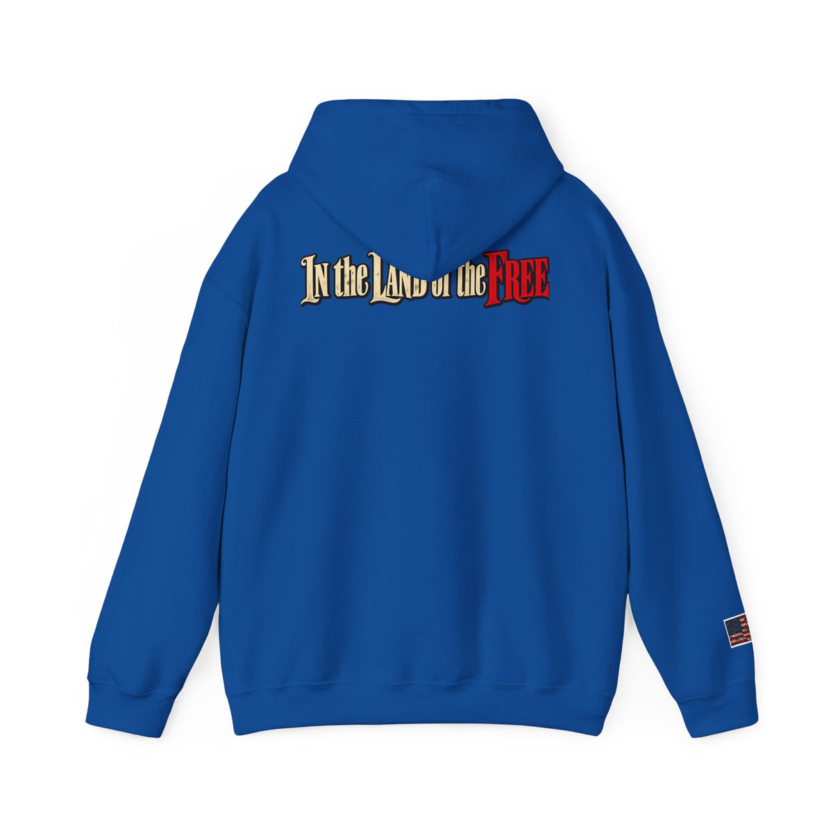 Liberty Statue Hoodie — "Dream as Always Beautiful / She Can't Hurt Me" Patriotic Pullover