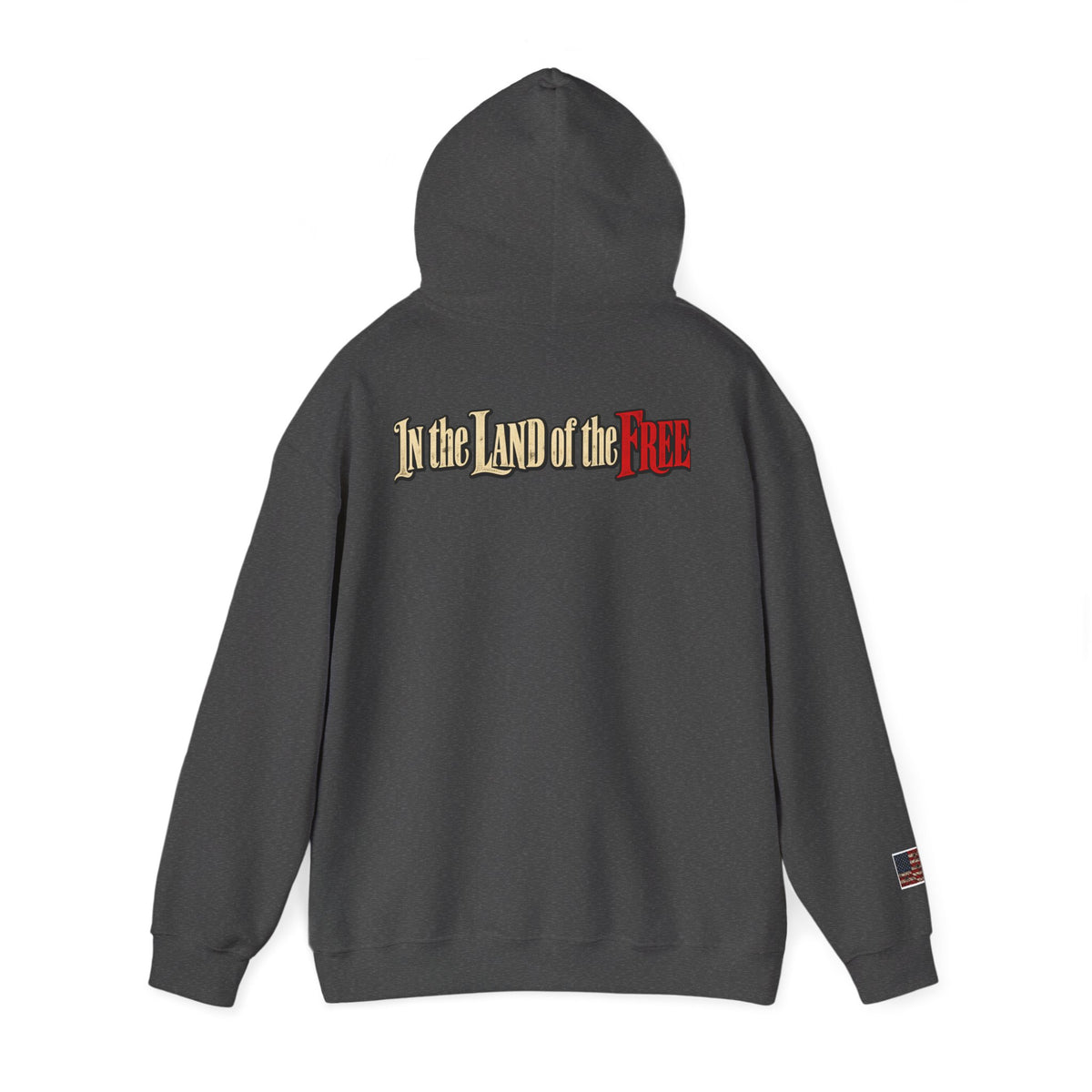 Liberty Statue Hoodie — "Dream as Always Beautiful / She Can't Hurt Me" Patriotic Pullover
