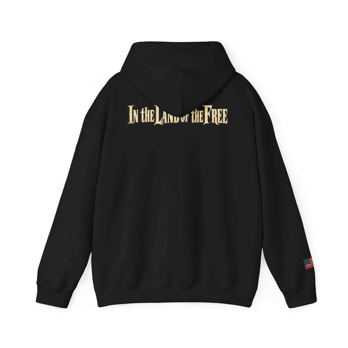 In the Land of the Free Patriotic Eagle Hoodie