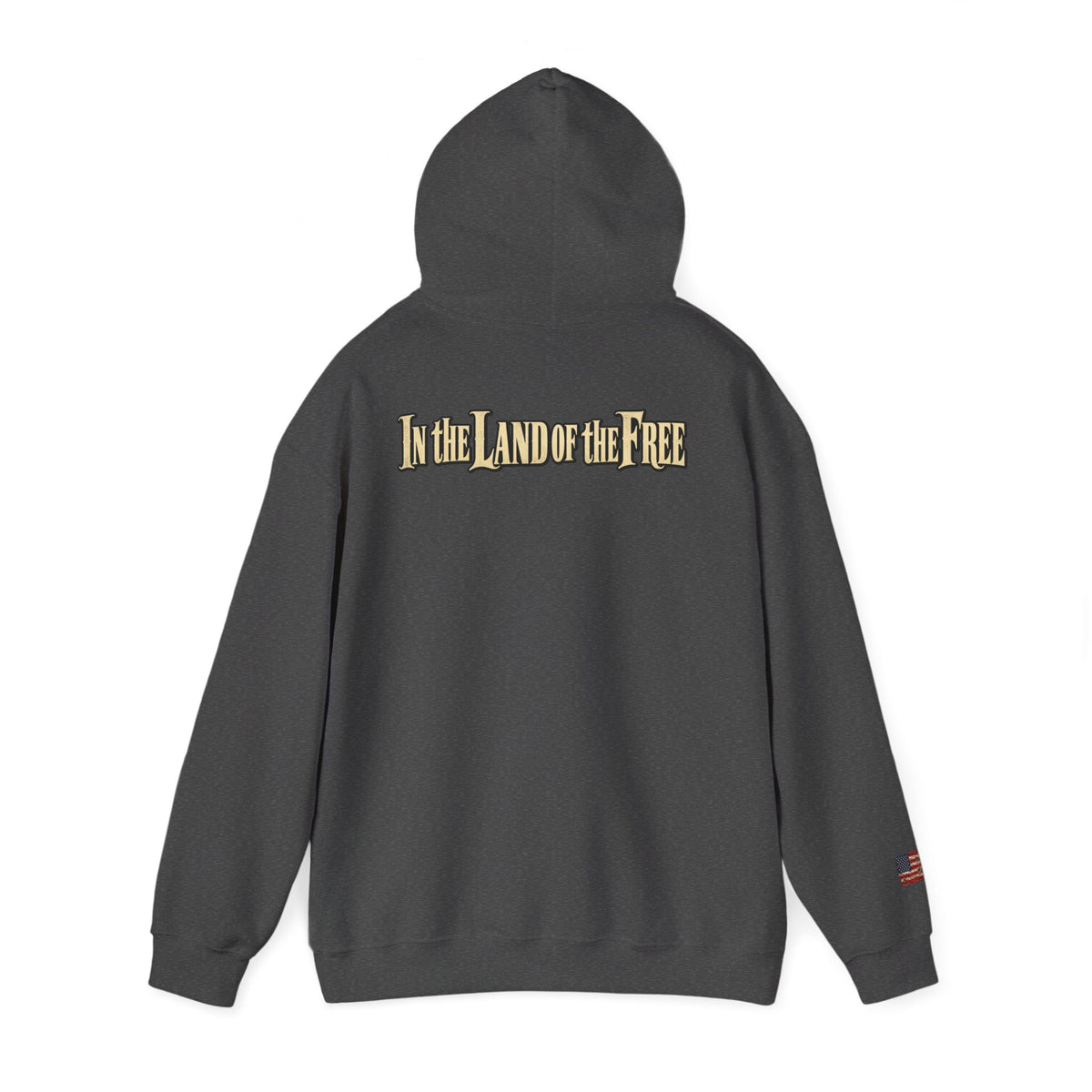 In the Land of the Free Patriotic Eagle Hoodie