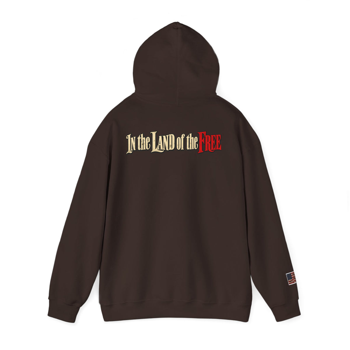 Liberty Statue Hoodie — "Dream as Always Beautiful / She Can't Hurt Me" Patriotic Pullover